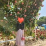 꽃의 여왕 장미에 흠뻑 취해보자~ <올림픽공원 장미광장> 서울 5월 6월 장미축제, 개화, 데이트, 나들이