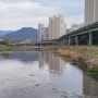 안양천 산책 후 시원 음료 한 잔 기 좋은 곳 [투썸플레이스 안양 석수점]