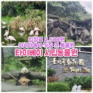대만 여행 타이베이 동물원 정보 및 후기