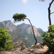 북한산 등산코스 초보는 조금 힘든 산행(북한산성입구~의상봉~국녕사)