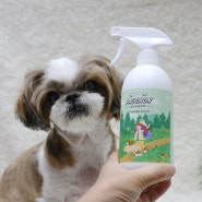 강아지 냄새제거 뽀숑 강아지탈취제 추천