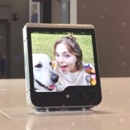 갤럭시 Z플립6 출시일에 '깜짝' 폴더블폰 주름 없앤다?