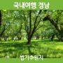 [국내여행-경남] 초록 초록한 자연의 나무들을 느낄 수 있고 가벼운 산책코스로 가기 좋은 평지로 이루어진 있는 양산 법기수원지