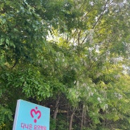일산암요양병원 일산에서 유일한 여성암케어 푸르른 공간