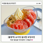[불광역] 요아정 오픈 꿀조합 토핑 추천 (자몽+벌집꿀+연유+그래놀라)