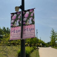 24년 5월 17-19일 해봄축제 서울식물원 꽃구경 행사(서울 5월 축제)