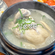 용인 수지 삼계탕 맛집 달궁정원 몸보신하기