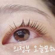 [Brow Study] 의정부 눈썹전문 샵 오늘모해요에서 속눈썹 펌을 배워보세요