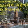 시드니여행: 시드니대학, 바랑가루, 세인트메리성당, 하이드파크 공원, 갭팍, 더들로페이지, 본다이비치