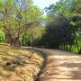 인천대공원에 가시면 인천수목원은 꼭 가세요.