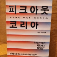 도서) 피크아웃 코리아 - 출산율 0.7의 망해가는 한국.. 과연 살아남을 방법은 있는가!? [한국의 미래/완벽요약/장문주의]