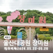 울산가볼만한곳 5월 장미축제 울산대공원 장미원 남문주차장