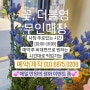 꽃,더블영 /무인/유인 예약 매장
