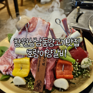 창원 상남동 양고기맛집 '호랑이양갈비' | 달달한 웰컴하이볼과 부드러운 양고기를 먹을 수 있는 상남동맛집