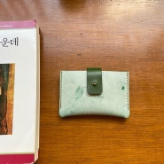 [에이징 7일차] 화이트 왁스 그린 소가죽 카드지갑 사용후기, 할인 이벤트 마감 D-1. / HANHEE.