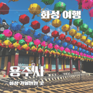 경기도 화성 사찰 용주사 카페 화산 경내 봄풍경