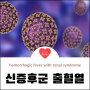 신증후군 출혈열 정의와 개념, Hemorrhagic Fever with Renal Syndrome 원인과 증상, RT PCR 진단과 한타 바이러스 백신 및 리바비린 치료와 예방법