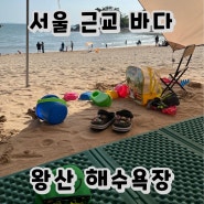 서울 근교 바다 당일치기 나들이 인천 왕산 해수욕장 주차 텐트 갯벌(조개캐기) 물때 여행 꿀팁까지!