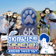 강아지랑갈만한곳 글로벌6K와 함께하는 댕댕트레킹 강아지운동장!