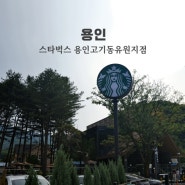 소나무 숲 속 '스타벅스 용인고기동유원지점' 평일 오후 방문 후기