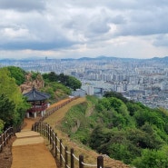 인천 계양산 등산 대중교통 계산역-하느재-둘레길