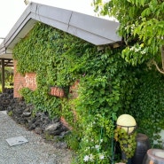 화덕피자 까페 화니핀 :: 아기자기한 정원이 있는 아이랑 가기 좋은 양평 옥천 화덕피자 맛집