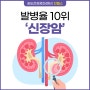 [인천 송도 진헬스 건강검진] 발병율 10위 ‘신장암’ 증상 및 검사에 대해 알아보기