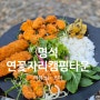 [경남 진주시] 내돈내산 초보차박 진주캠핑장 _ 연꽃자리 캠핑타운
