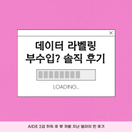 [내돈 내산] 데이터 라벨링 자격증 따고 알바 수입 가능? - 리얼 후기 with AIDE 2급 취득