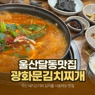 울산 김치찌개 맛집 광화문김치찌개 달동 밥집 추천