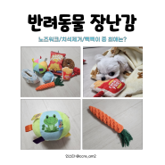 다이소 노즈워크 장난감 아기 강아지가 놀만한 용품 쿠팡과 비교