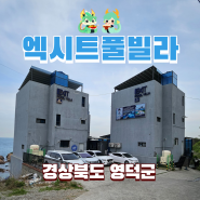 경북 영덕 엑시트풀빌라 펜션 B1 내돈내산 후기