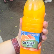 방콕 여행 잊을 수 없는 맛 오렌지주스 팁싸마이
