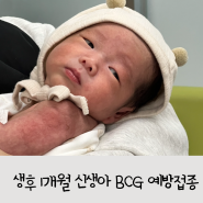 [육아정보] 생후1개월신생아 예방접종 BCG접종 경피용 피내용