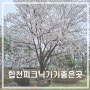 봄을 만끽할 수 있는 피크닉명소_합천 일해공원