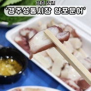 경주 성동시장 양포문어 문어숙회 총각네 활어회 포장맛집