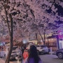 Weekly diary 4-1) 벚꽃의 계절이 왔다!