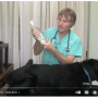 심하지 않은 강아지 췌장염 집에서 관리하는 4가지 방법