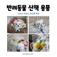 반려동물 강아지 말티즈 첫 산책 용품 하네스 ,리드줄 다이소 종로본점에서 구매한 후기