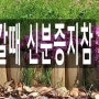 5/20일 (월)부터 요양기관 본인확인 강화 제도 시행 5/19