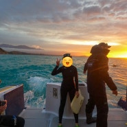뉴질랜드 남섬 신혼여행 - 카이코우라 돌핀 스윔 Dolphin Encounter