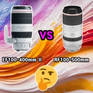 "캐논 EF vs RF: 초망원 렌즈 대결, 어느 것이 당신에게 맞나요?"