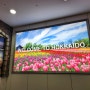 《일본여행》 홋카이도 신치토세 공항 & 푸드코트 이용 후기 ^♡^