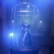 Miranda Lambert : Bluebird (2019)[영상/소개/가사/해석]