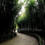 [7년 전 오늘] [5월의 태화강대공원] 대나무 숲과 청보리 밭