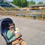 어린이대공원 급출똥! 주말 놀이공원&동물원 나들이.