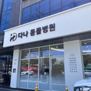 대전 유천동 <다나 동물병원> 강아지 중성화 후기🐕🐾
