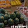 [인천/남촌] 맛있는 과일 천국 남촌 농산물도매시장 (5월 18일 기준)