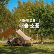 [세몬네 캠프닉] 대숲 소풍@와룡지구 친수생태공원 (feat. 아늑타프 탄 & 로이텐트 탄)