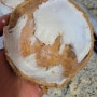 코코넛워터 코코넛깨는방법 코코넛속과육